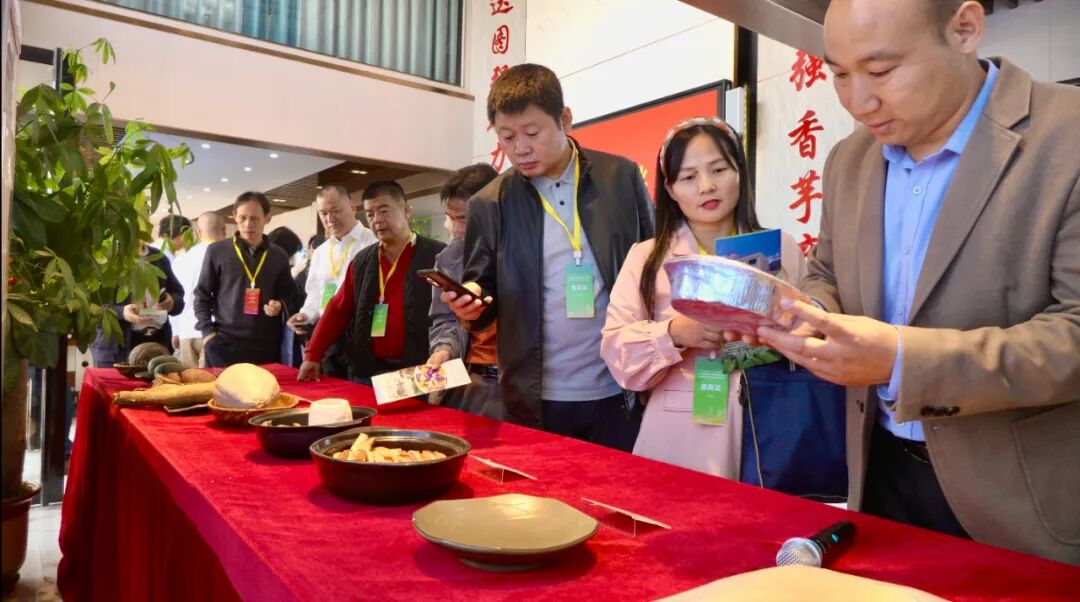 “芋”见长寿乡 合作启新程——2025贺州香芋产销对接会暨特色农产品加工投资推介会召开