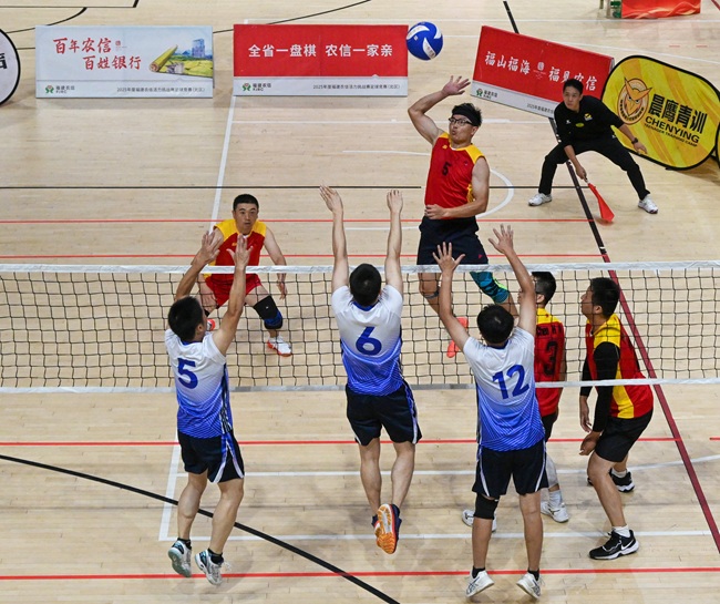 赛场拼搏展风采 2025年全省教职工运动会气排球比赛落幕 赛场拼搏展风采 2025年全省教职工运动会气排球比赛落幕