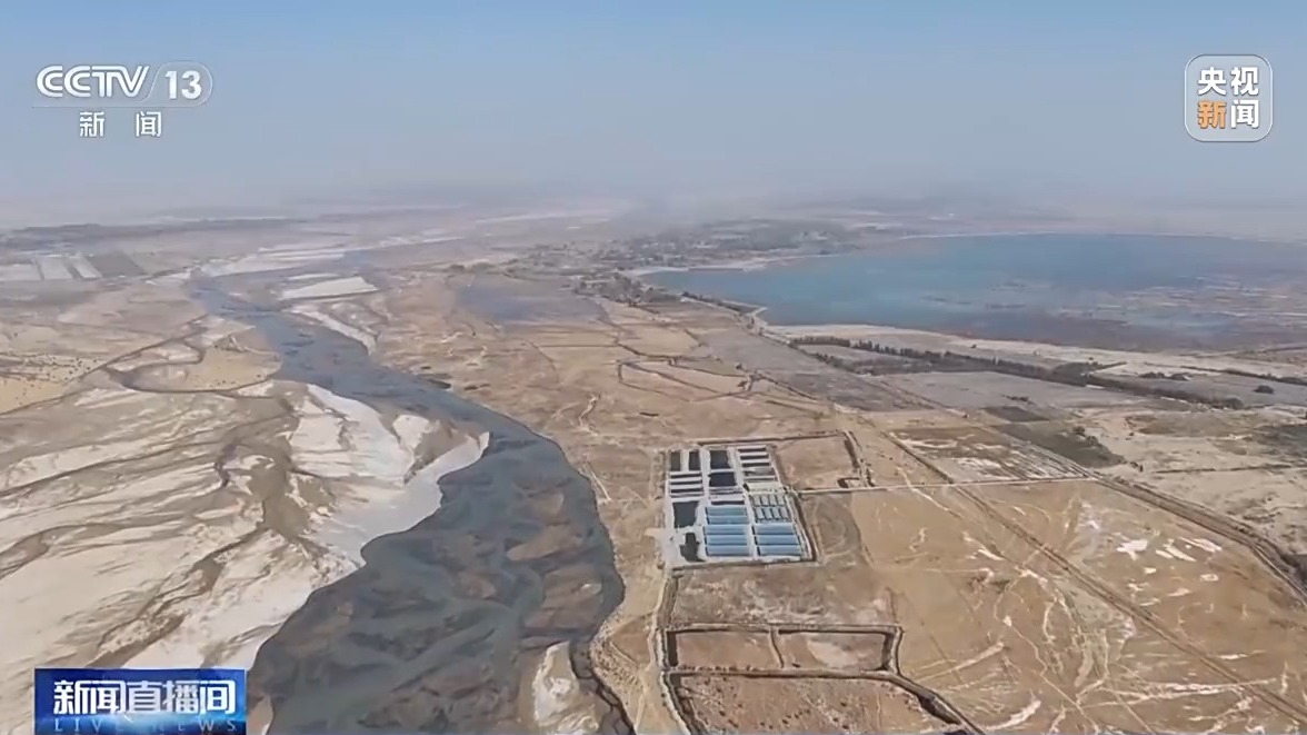 沙漠边缘养螃蟹 新疆如何做到“海鲜”大丰收?