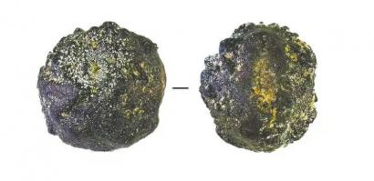 老祖先“食谱”公开 几万年前,川人就吃得“麻”