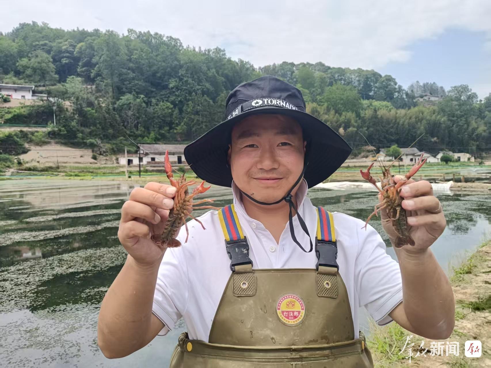 “水稻+”绘就乡村振兴新画卷