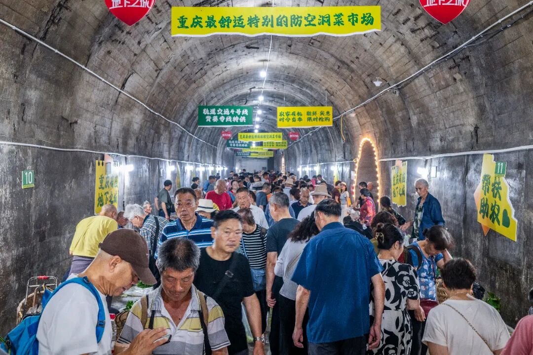 十四艺节 | 重庆61件作品入选全国三大展览