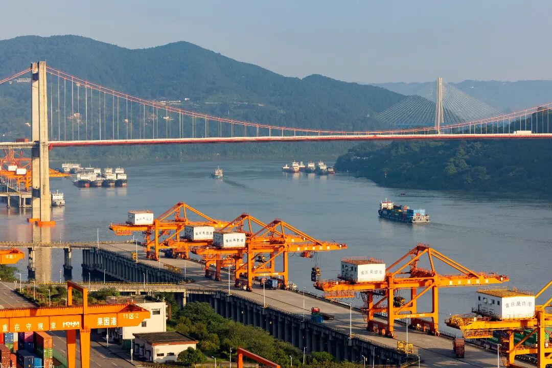 十四艺节 | 重庆61件作品入选全国三大展览