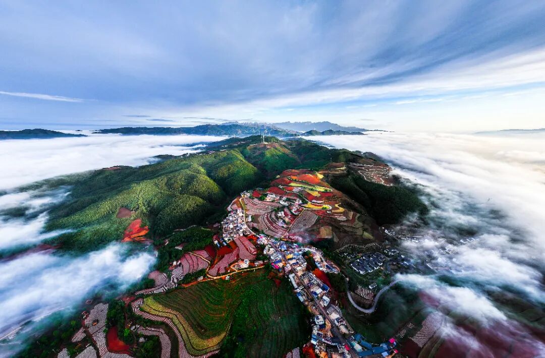 十四艺节 | 重庆61件作品入选全国三大展览 陈正华-生态红土地-云南省-2025年.jpg