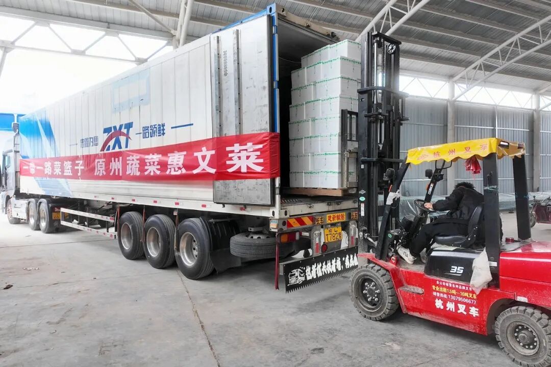 又一突破!宁夏固原市原州区冷凉蔬菜首次出口文莱