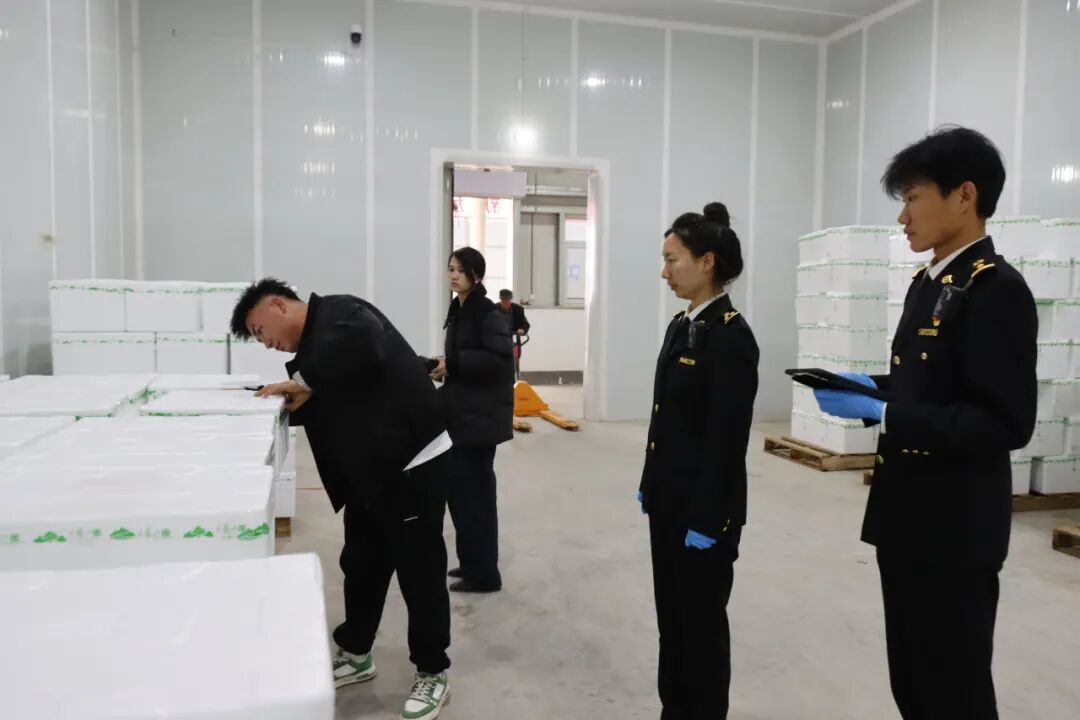 又一突破!宁夏固原市原州区冷凉蔬菜首次出口文莱