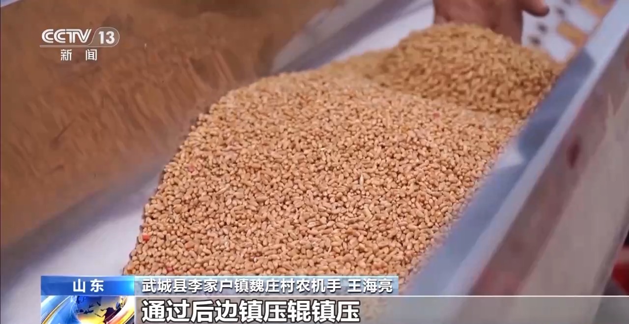 全国秋粮收获已过八成半 冬小麦播种加快推进