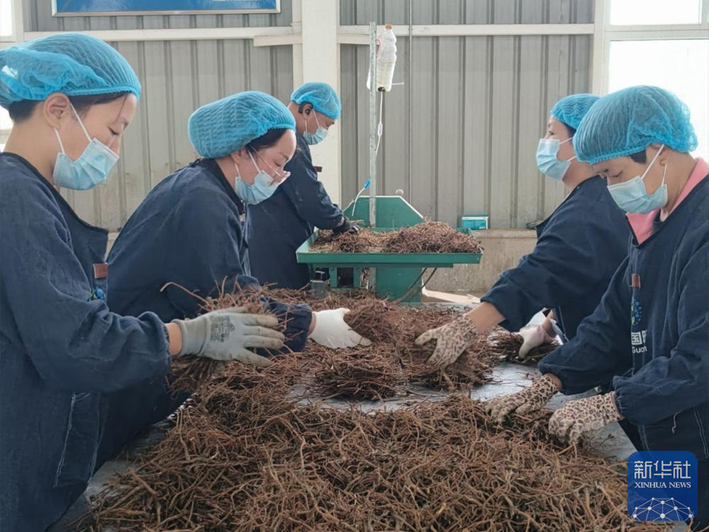 宜创宜农宜安居 宜阳“不一样”