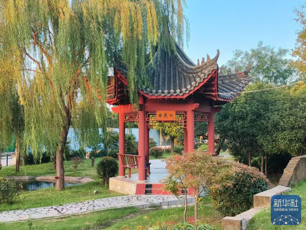 强党建重服务聚合力 宜阳基层治理有“三变”