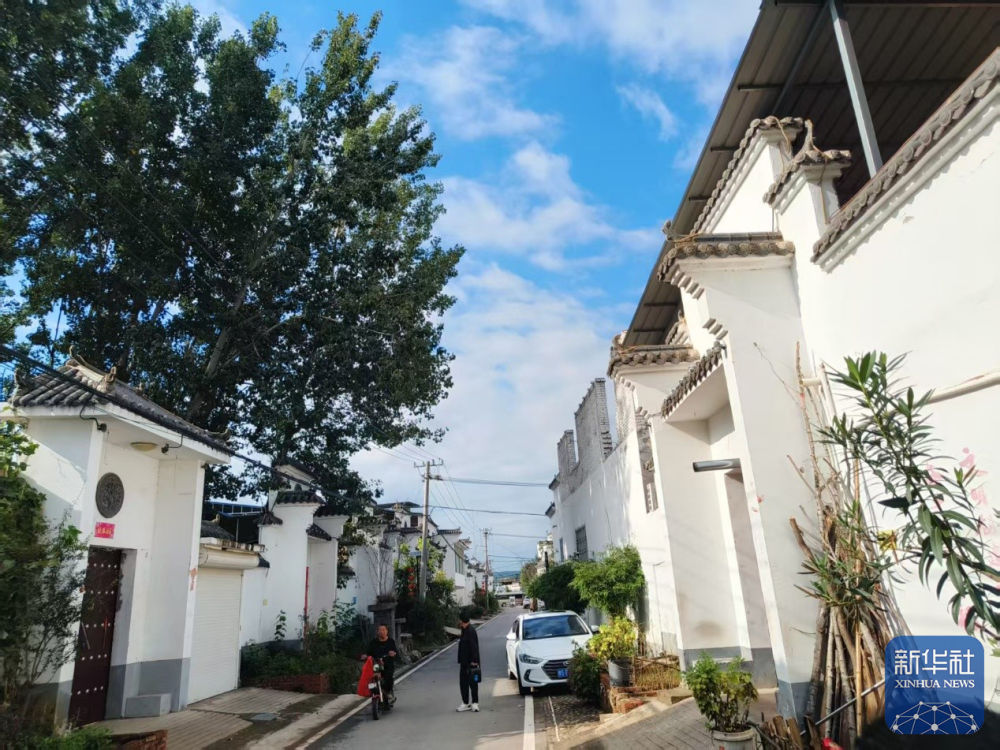 强党建重服务聚合力 宜阳基层治理有“三变”