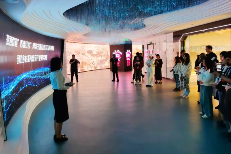 青春红岩｜重庆青年创新赋能 让乡村振兴有“智”又有“质”