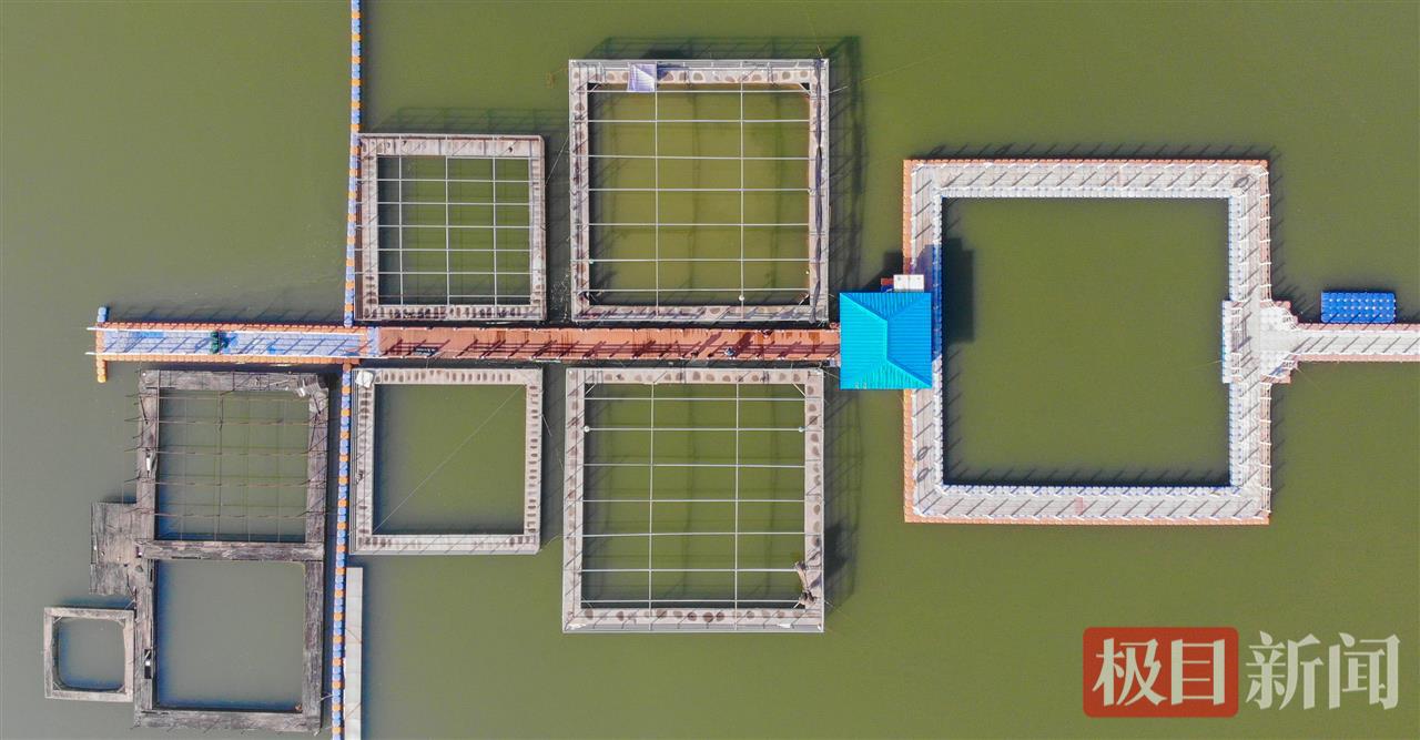 何以中国|江豚起舞、麋鹿撒欢,荆江之畔成为“湿地精灵”乐园 695244ce04539addc55bcfca69f850d0.jpeg