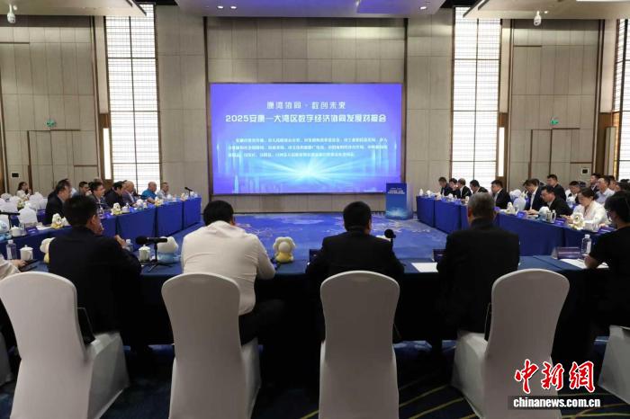 2025安康—大湾区数字经济协同发展对接会举行 2025安康—大湾区数字经济协同发展对接会举行