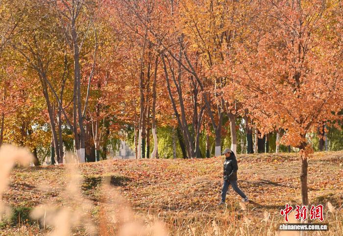 吉林长春秋景如画 市民踏叶赏秋