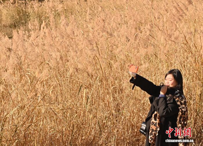 吉林长春秋景如画 市民踏叶赏秋