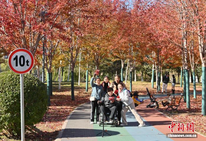 吉林长春秋景如画 市民踏叶赏秋