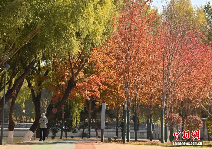 吉林长春秋景如画 市民踏叶赏秋