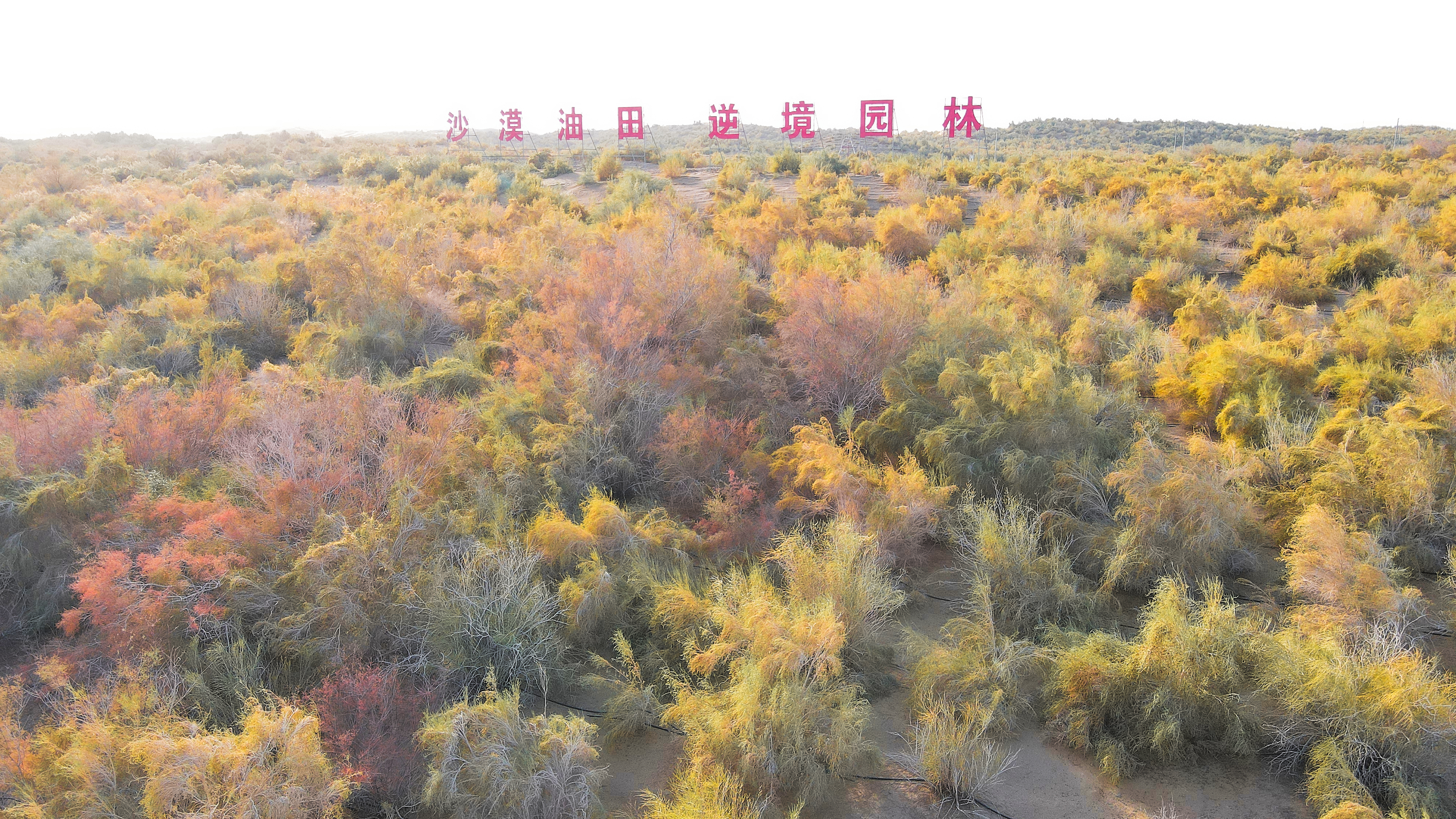 天山行纪|“死亡之海”开出“生命之路” 天山行纪|“死亡之海”开出“生命之路”