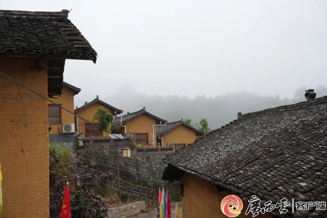 他，为何五上金秀大瑶山?