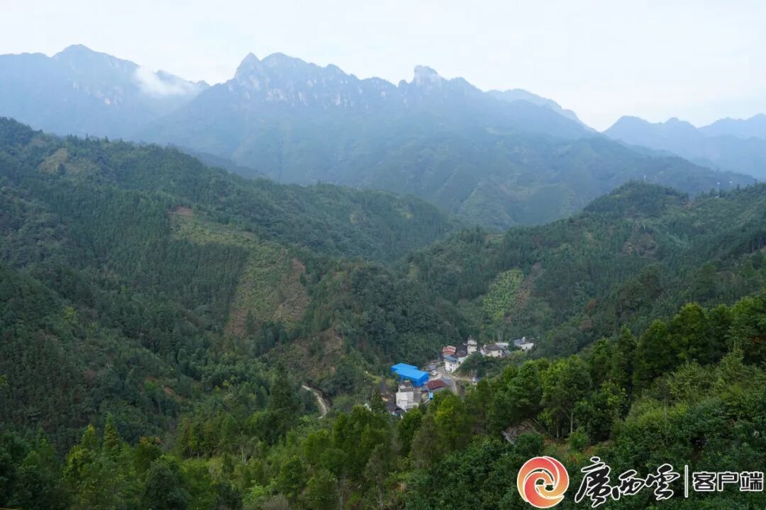他，为何五上金秀大瑶山?