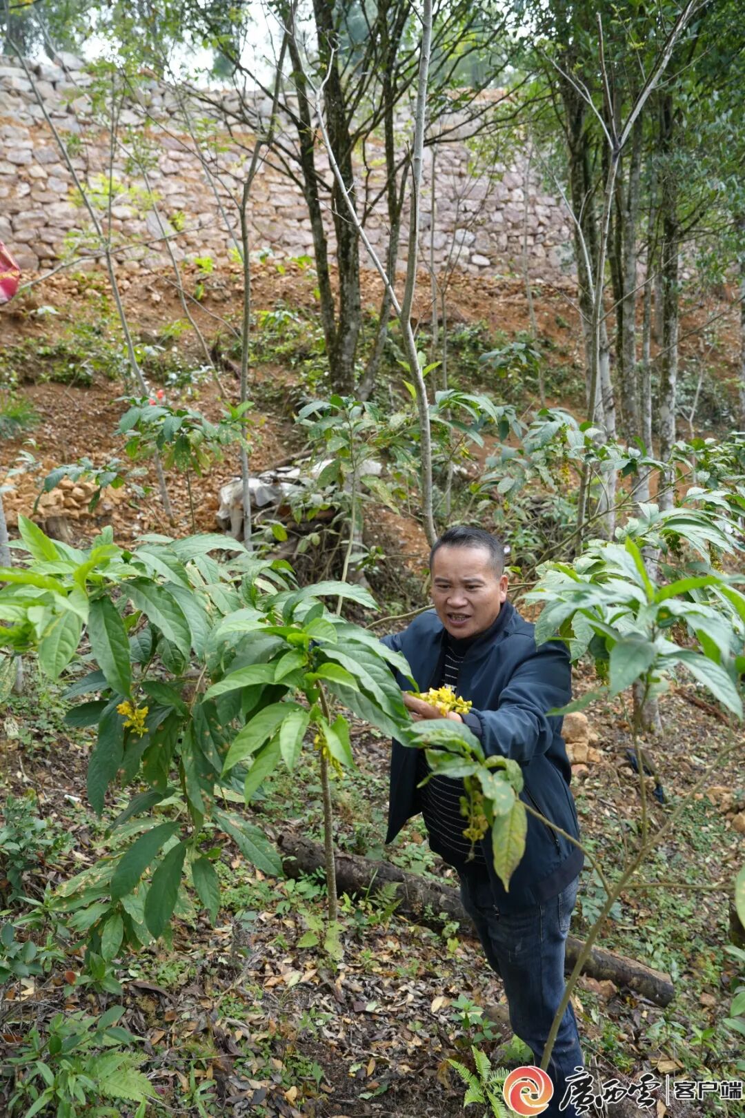 他，为何五上金秀大瑶山?