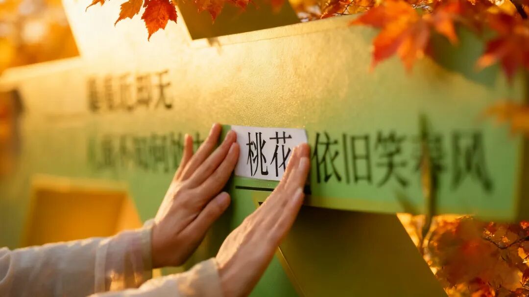 西安新名片！“唐诗之都”，到底有多绝？