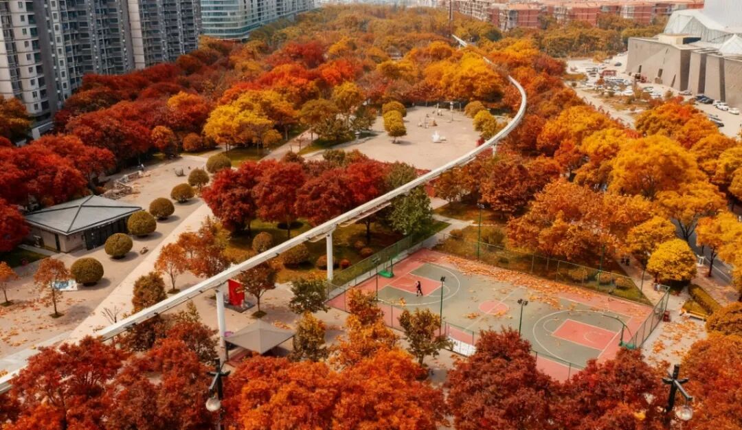 西安新名片！“唐诗之都”，到底有多绝？