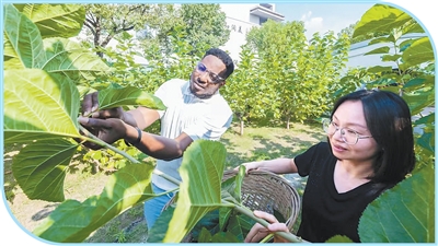 “让更多人看见中国的生态之美”（我和中国的故事）