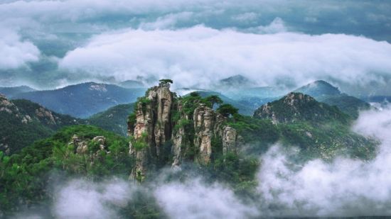 孙继业:沂蒙之花 孙继业:沂蒙之花