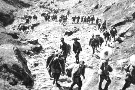 孙继业：沂蒙之花