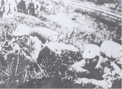 孙继业:沂蒙之花 孙继业:沂蒙之花