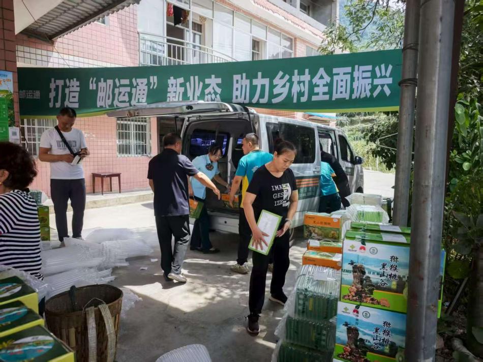 重庆万盛：“邮泽万家·四级织网”破解山区物流瓶颈激活乡村振兴新动能