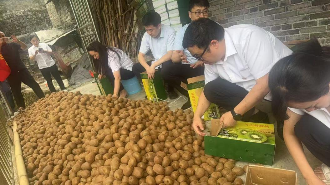 重庆万盛：“邮泽万家·四级织网”破解山区物流瓶颈激活乡村振兴新动能