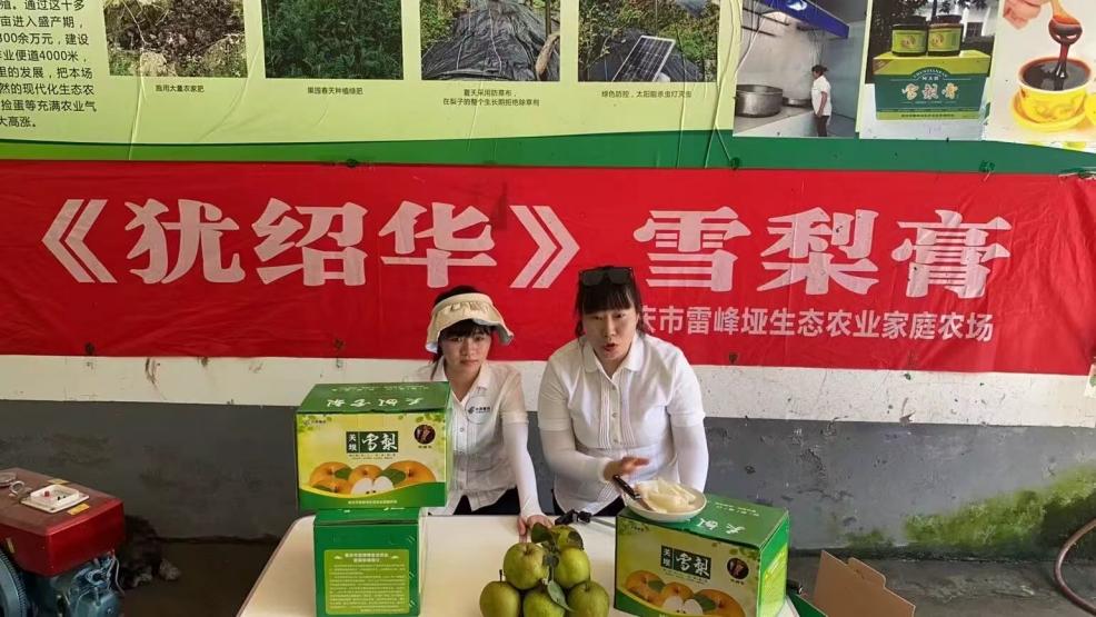 重庆万盛：“邮泽万家·四级织网”破解山区物流瓶颈激活乡村振兴新动能