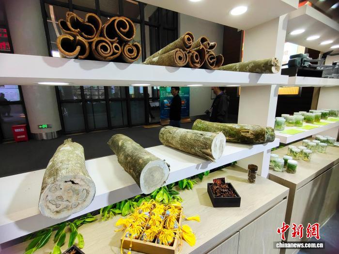 第三届玉林国际香料产业博览会开幕