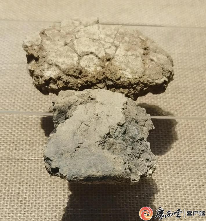 三年一届!古陶瓷科技国际研讨绽放万年陶蕴 三年一届!古陶瓷科技国际研讨绽放万年陶蕴