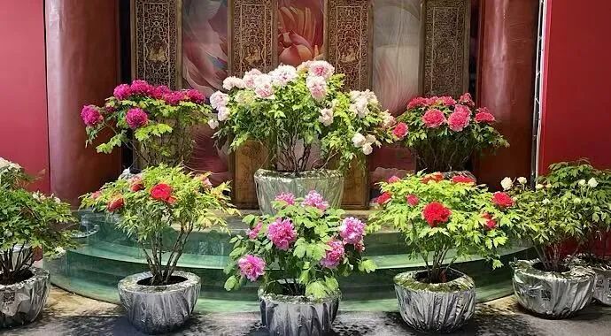 全国首部！菏泽这份《条例》何以亮眼？