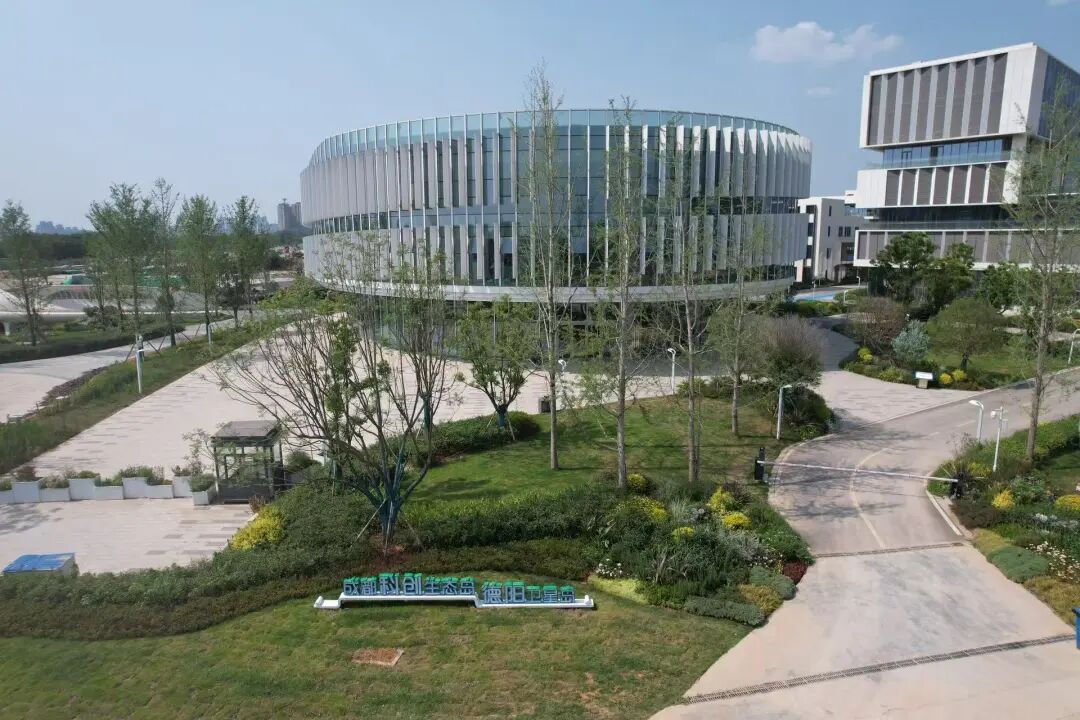 共建都市圈：从“单打独斗”到“一盘棋”发展