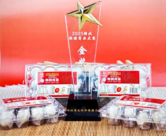 履责“四个一方” 推动融圈入群发展新跨越