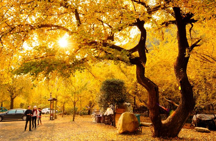 履责“四个一方” 推动融圈入群发展新跨越