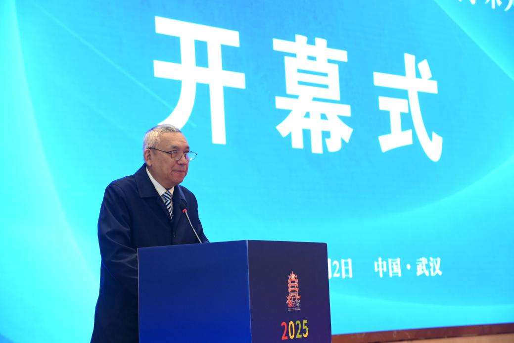 2025武汉矿冶与材料绿色低碳发展学术大会举行 2025武汉矿冶与材料绿色低碳发展学术大会举行