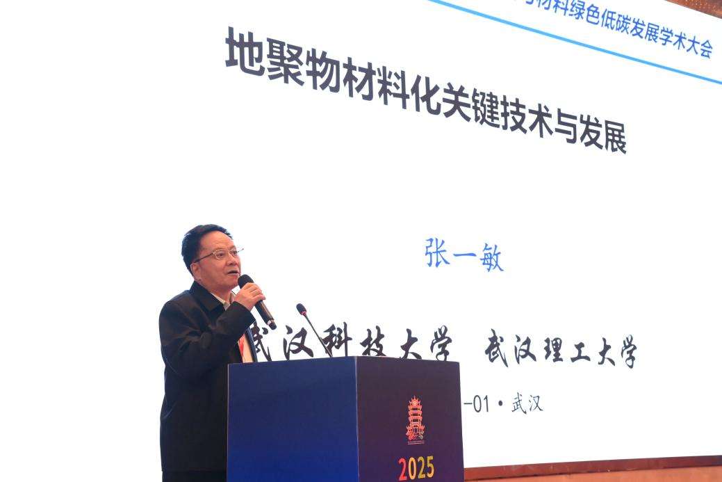 2025武汉矿冶与材料绿色低碳发展学术大会举行 2025武汉矿冶与材料绿色低碳发展学术大会举行