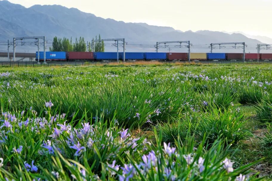 新疆铁路绘就“两山”理念新画卷