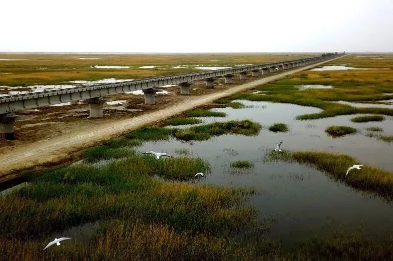 新疆铁路绘就“两山”理念新画卷