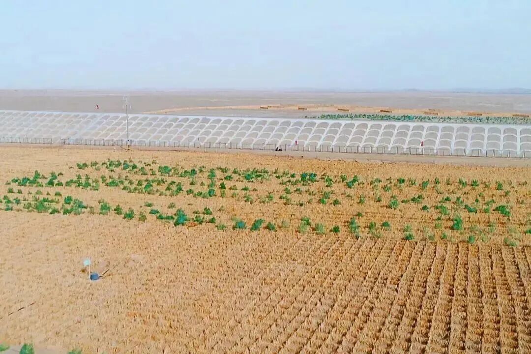 新疆铁路绘就“两山”理念新画卷