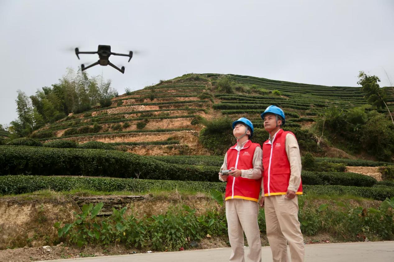 电力护航 助力秋茶飘香