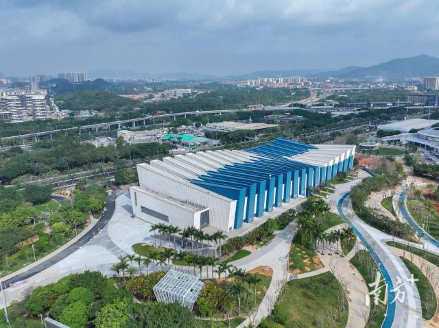 约80万吨碳排放全中和，这届全运会如何做到？｜十五运会经济学