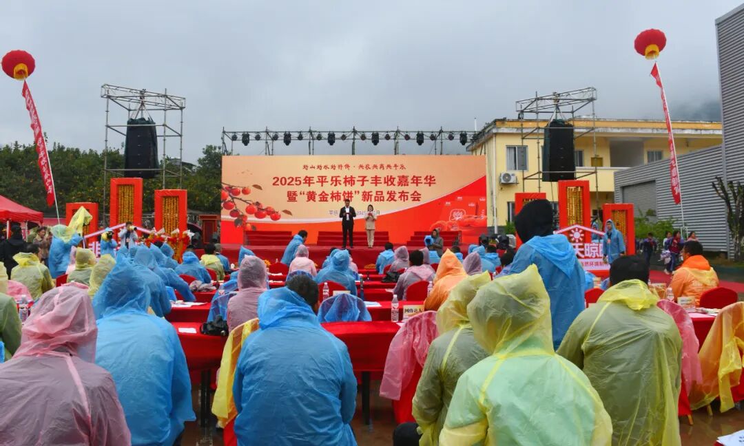 平乐法院:从枝头到舌尖,法治护航“柿”业红 图片