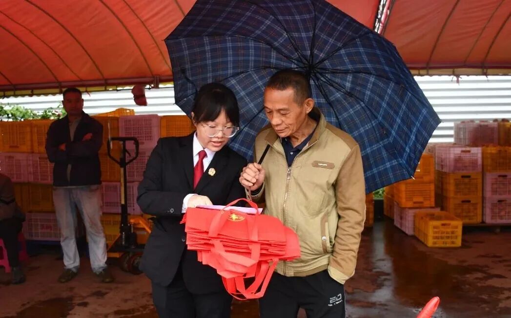 平乐法院:从枝头到舌尖,法治护航“柿”业红