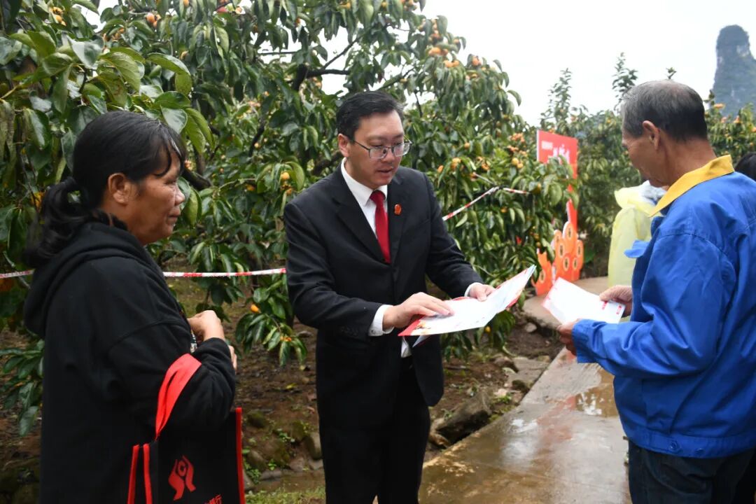 平乐法院:从枝头到舌尖,法治护航“柿”业红